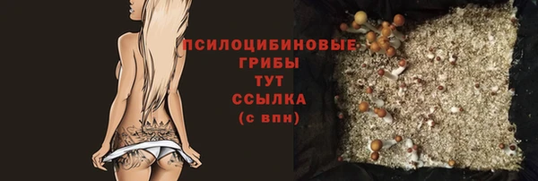 МДПВ Армянск