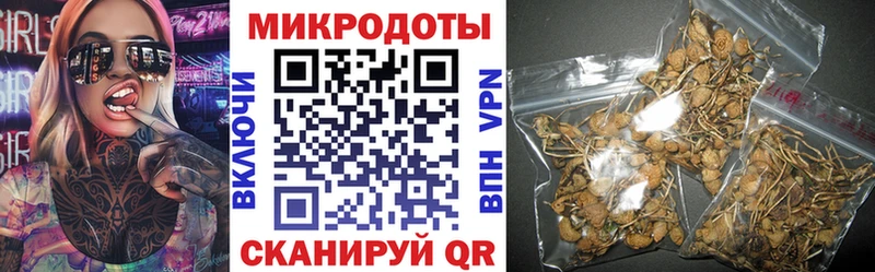 Псилоцибиновые грибы прущие грибы  Бологое 