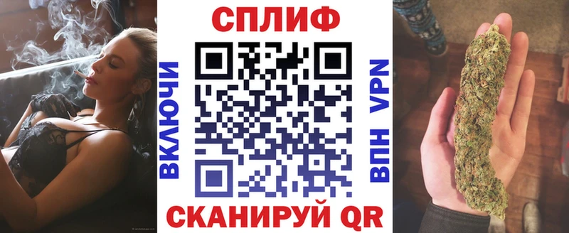 Конопля MAZAR  Бологое 